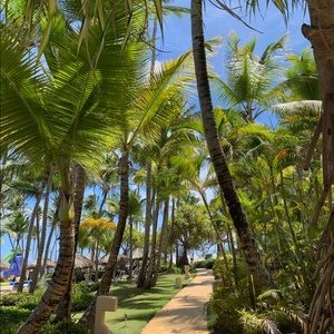 Meet your Posher, Cassidy